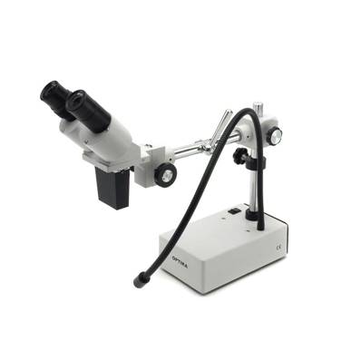 Binoculaire / Microscope
