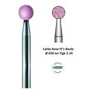 Carbo Rose N°1 Boule Ø 030 sur Tige 2.34